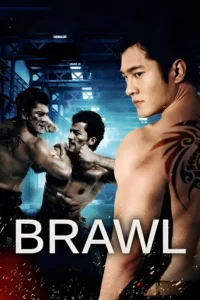 brawl 2012
