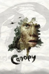 canopy 2013