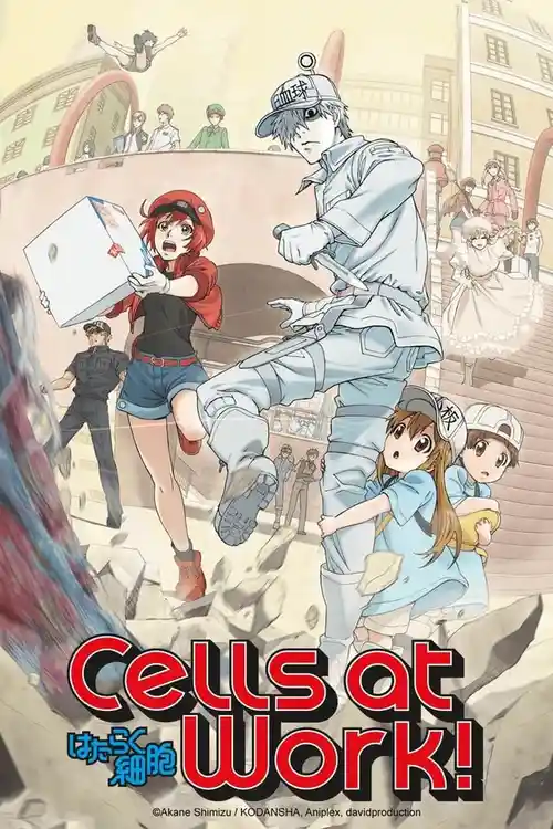 Download Cells at Work! (Season 1) Multi Audio {Hindi English Japanese} Anime Series 480p 720p & 1080p Blu Ray 10 cells at work season 1