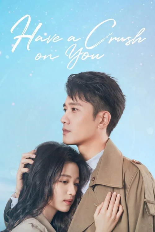 Download Have a Crush on You (Season 1) Dual Audio {Hindi Chinese} Series 480p | 720p | 1080p WEB DL 22 have a crush on you season 1