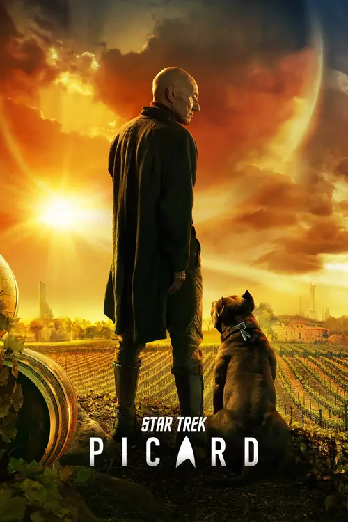 Download Netflix Star Trek: Picard (2020) Season 1 Hindi {All Episodes} 480p & 720p 4 netflix star trek picard 2020