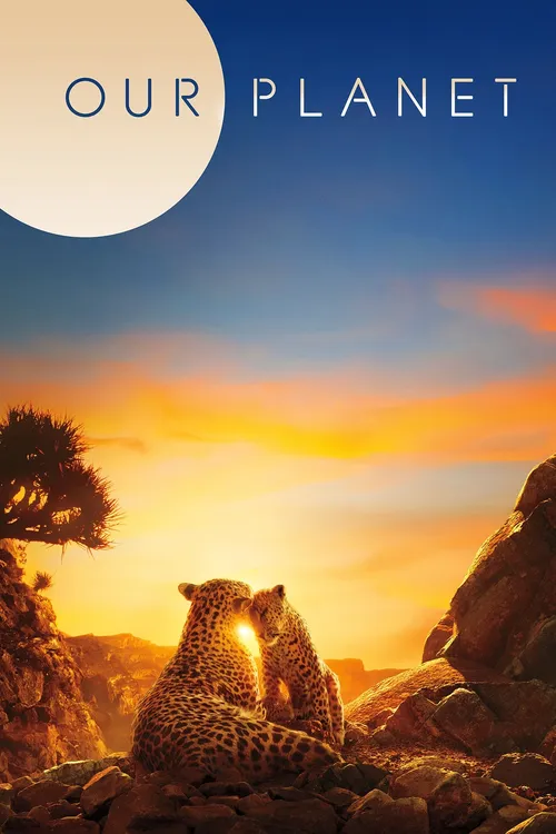 Download Our Planet (Season 1 – 2) Complete Netflix Original Dual Audio {Hindi English} WEB Series 480p | 720p | 1080p WEB DL 13 our planet season 1