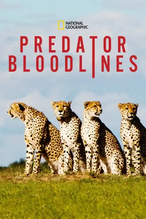 Download Predator Bloodlines (2021) Season 1 Hindi Complete DSNP WEB Series 480p | 720p HDRip 25 predator bloodlines 2021