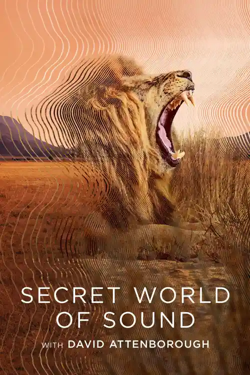 Download Secret World of Sound with David Attenborough – S01 (2024) Dual Audio {Hindi English} WEB Series 720p & 1080p WEB DL 4 secret world of sound with david attenborough s01 2024