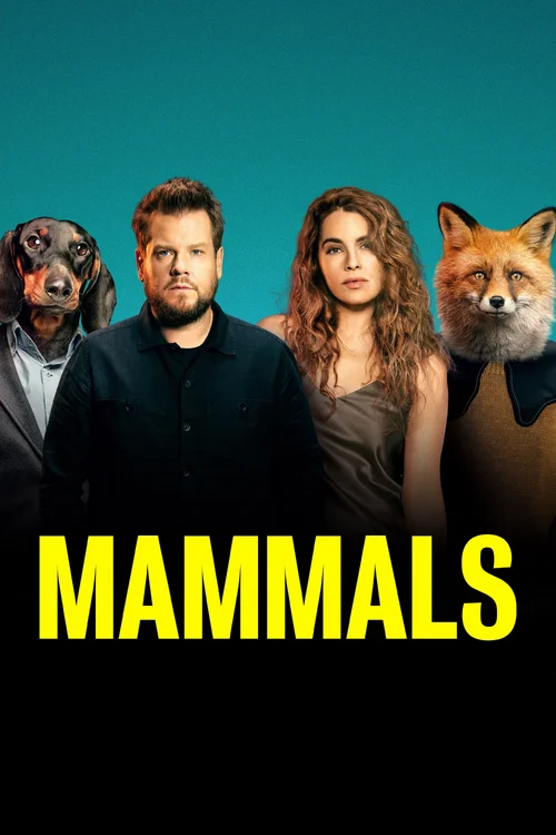 Download StoryBots: Answer Time (Season 1 – 2) Dual Audio {Hindi English} NF Complete 480p | 720p WEB DL 24 storybots answer time season 1