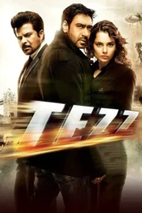 tezz 2012
