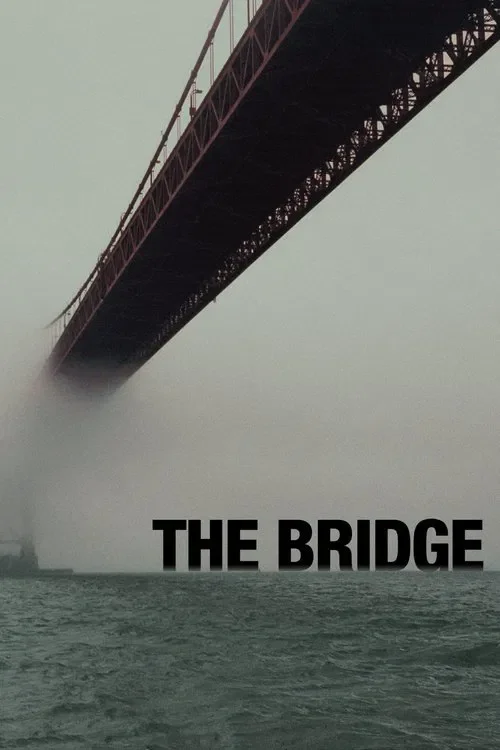 Download The Bridge (Season 1 – 4) Dual Audio {Hindi English} 480p | 720p | 1080p AMZN WEB DL 11 the bridge season 1