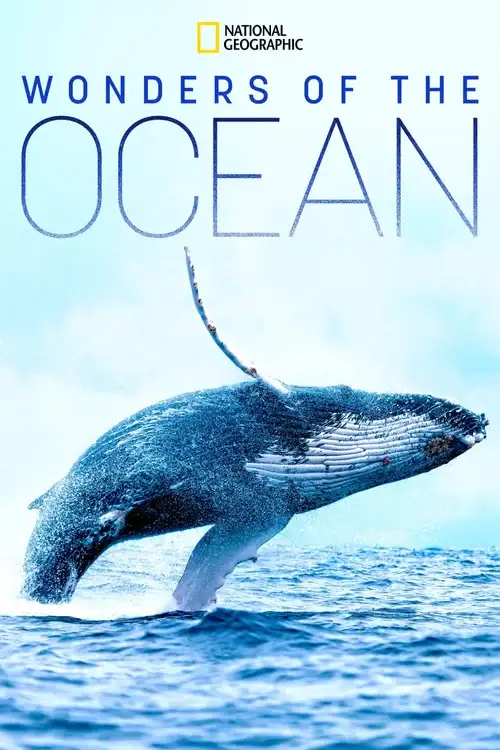 Download Wonders of the Ocean (2021) Season 1 Hindi Complete DSNP WEB Series 480p | 720p HDRip 23 wonders of the ocean 2021
