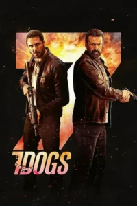7 dogs 2026